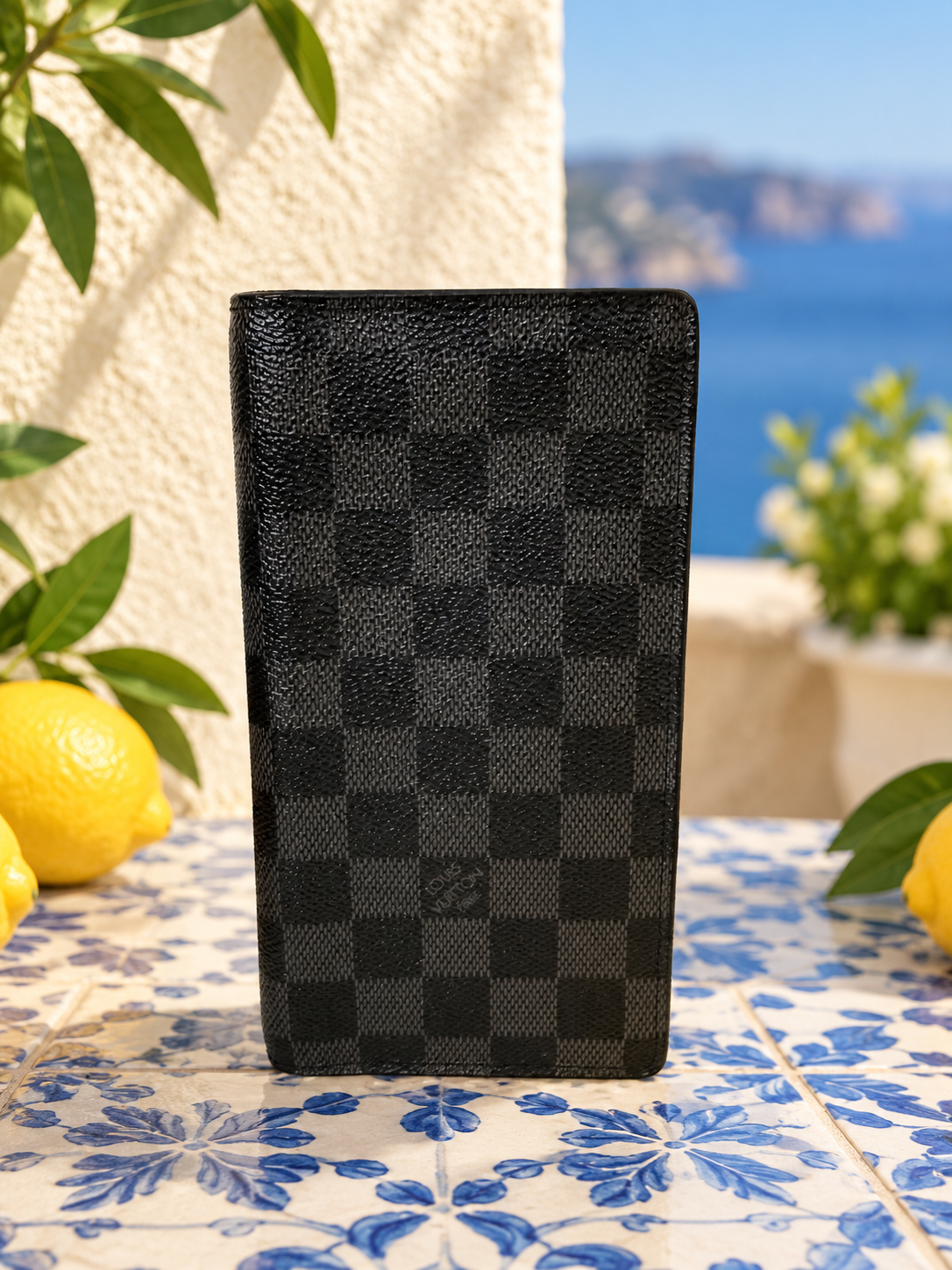 Louis Vuitton Damier Graphite Braza Wallet